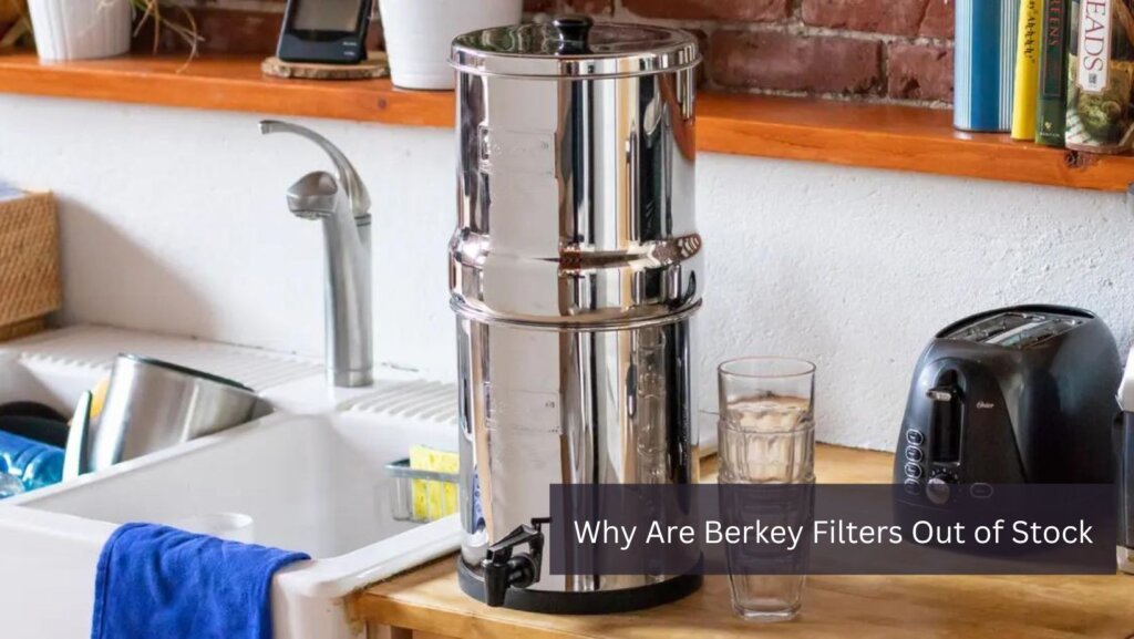 Why Are Berkey Filters Out of Stock